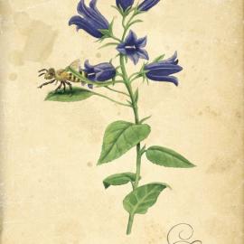 小清新毁灭之作：别装纯！