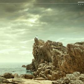 三菱汽车：广阔天与地