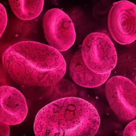 Sharpie笔：就是这种逆天的“细”法！