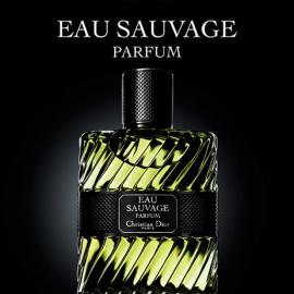 Dan Tobin Smith创意广告作品