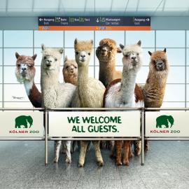 Zoo Cologne科隆动物园：有朋自远方来，不亦悦乎