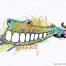 Condor 儿童牙刷：世界是缤纷的，牙齿是白的