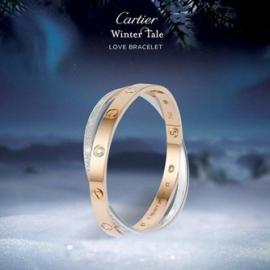 卡地亚2012 圣诞大片：卖萌小猎豹的丛林礼物探险