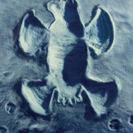 卡尔加里农贸市场――冬季不打烊！