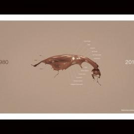 Breeze清洁剂：全世界都在变