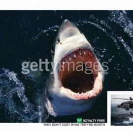 Getty Images免税图片：买到就是赚到