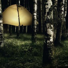 Orphea杀虫剂：被迫上演的《飞屋环游记》？