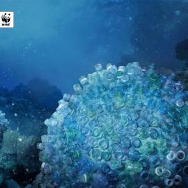 WWF海洋保护运动：海纳百川，但不包括垃圾和废弃物