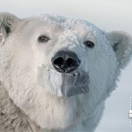 ATMA空调：北极的寒冷也沉默了