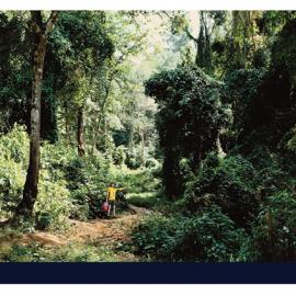 路虎卫士，无险不至