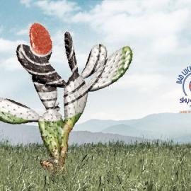 Sky Company：坏运气无法避免，跳伞需要专业！