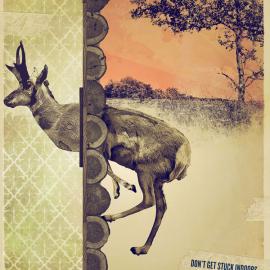 Coleman野营用品广告：别把自己“宅”在家里！