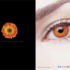 ACUVUE2彩色隐形眼镜，天然色彩