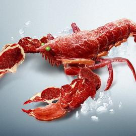 Aucma冰箱广告设计-Fresh Keeping