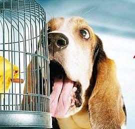 国外一组创意广告欣赏