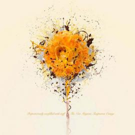 Magnum雪糕系列经典时尚广告赏析