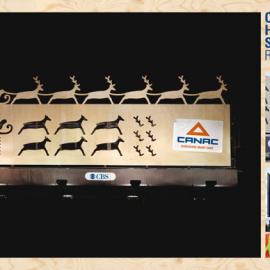 CANAC系列精彩广告创意欣赏