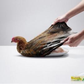 2011最新平面广告精选之动物篇