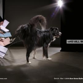 16个有狗狗参与的创意平面广告