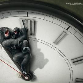 Bund：每60秒就有一个物种灭亡