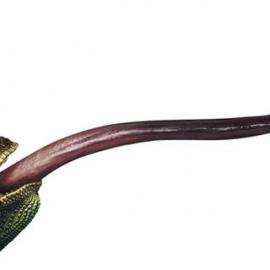 创意，一触即发-ROCA Estudio创意广告摄影(四)