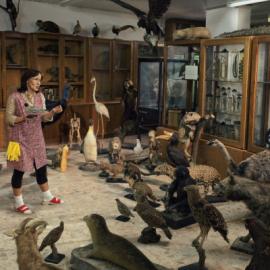 创意广告：享受生活纯粹的乐趣