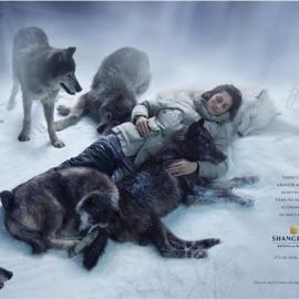 香港奥美：香格里拉酒店全新品牌形象 至善盛情，源自天性