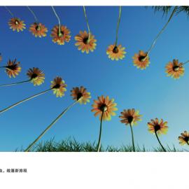 2011 One Show金铅笔：甲壳虫的视野