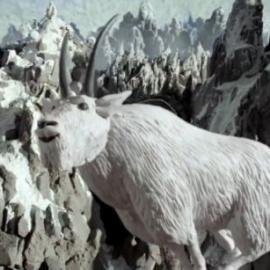 神奇粘土！陆虎制作最新发布广告宣传片