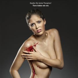 恐怖血腥的动物保护公益广告