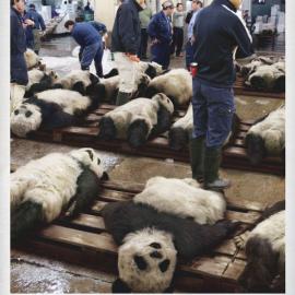 5组最新收集的创意广告欣赏