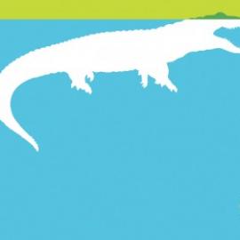 佳能powershot d10防水数码相机广告