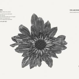 路虎平面汽车广告欣赏