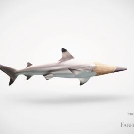 真实的色彩：Faber-Castell彩色铅笔广告