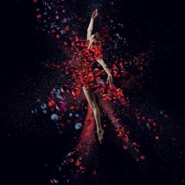 罗马欧洲艺术节广告