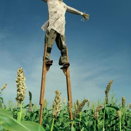 108个创意广告经典合集（三）