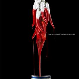 108个创意广告经典合集（一）