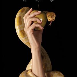 与食物有关的广告创意欣赏（一）