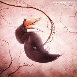 泰国野生动物拯救基金会广告