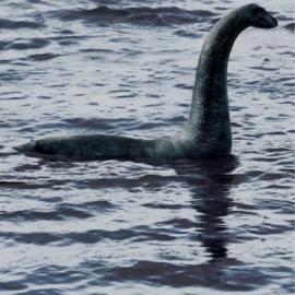 21张相机创意平面广告欣赏