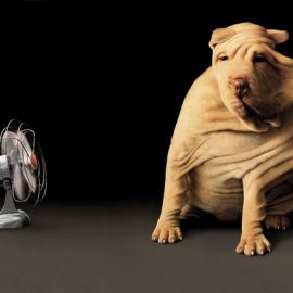 创意广告欣赏―Skeleton数字艺术工作室