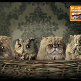 创意广告：动物篇小集锦