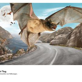 2010大众广告小集锦