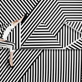 Adobe Max Installation and Art Direction