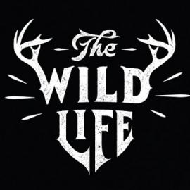 Creative Lettering by Neil Tasker