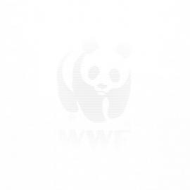 国际各类广告设计大赛获奖公益广告欣赏（二）