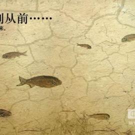 2011“申通德高杯”地铁公益广告大赛专业组别优秀作品欣赏（一）