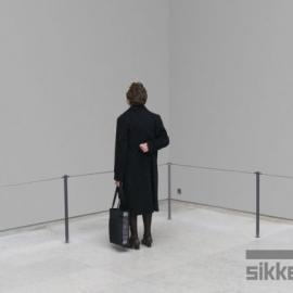 荷兰新劲(sikkens)油漆广告