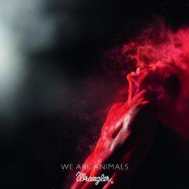 2010戛纳广告节平面类金奖奖作品