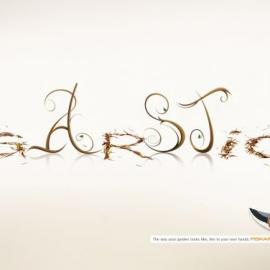 我的花园我做主